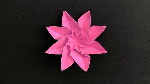 如何折花视频,跟随花艺视频轻松折出美丽花朵